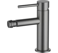 Смеситель для биде Aquatek AQUATEK AQ1318BGM ЕВРОПА шлиф. черный хром 00000139705