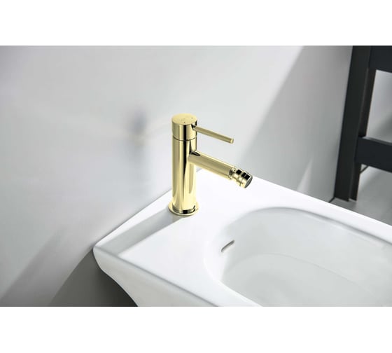 Смеситель для биде Aquatek AQ1318BG ЕВРОПА, шлиф. золото 00000139812