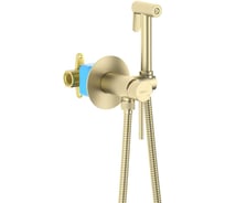 Комплект для гигиенического душа встроенный AQUATEK AQ1021BG ЕВРОПА смеситель + гигиеническая лейка + шланг, шлиф. золото 00000139849