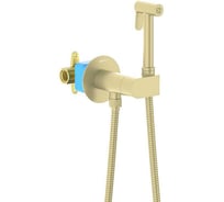 Комплект для гигиенического душа встроенный AQUATEK AQ1024BG ОБЕРОН смеситель c прогрессивным картриджем + гигиеническая лейка + шланг, шлиф. золото 00000139850