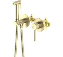 Комплект для гигиенического душа встроенный Aquatek AQ1319BG ЕВРОПА 2 отверстия, смеситель + гигиеническая лейка + шланг, шлиф. золото 00000139827