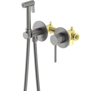 Комплект для гигиенического душа встроенный AQUATEK AQ1319BGM ЕВРОПА 2 отверстия, смеситель + гигиеническая лейка + шланг, шлиф. черный хром 00000139720
