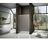 Душевая дверь Good Door LATTE WTW-120-G-WE ЛА00023 2