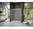 Душевая дверь Good Door LATTE WTW-TD-160-G-WE ЛА00034 2
