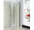 Душевое ограждение Good Door PANDORA WTW-120-C-CH ПД00072 4
