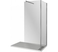 Душевое ограждение Good Door WALK IN SP+P-100-C-CH ВИ00010