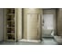Душевое ограждение Good Door WALK IN SP+P-100-C-CH ВИ00010 3