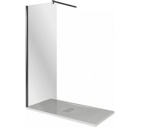 Душевое ограждение Good Door WALK IN SP-120-C-В ВИ00015