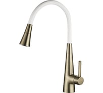 Смеситель для кухни с гибким изливом Rose R213G