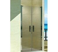 Душевая дверь WeltWasser WW600 900х1850 мм 600K2-90 10000002734