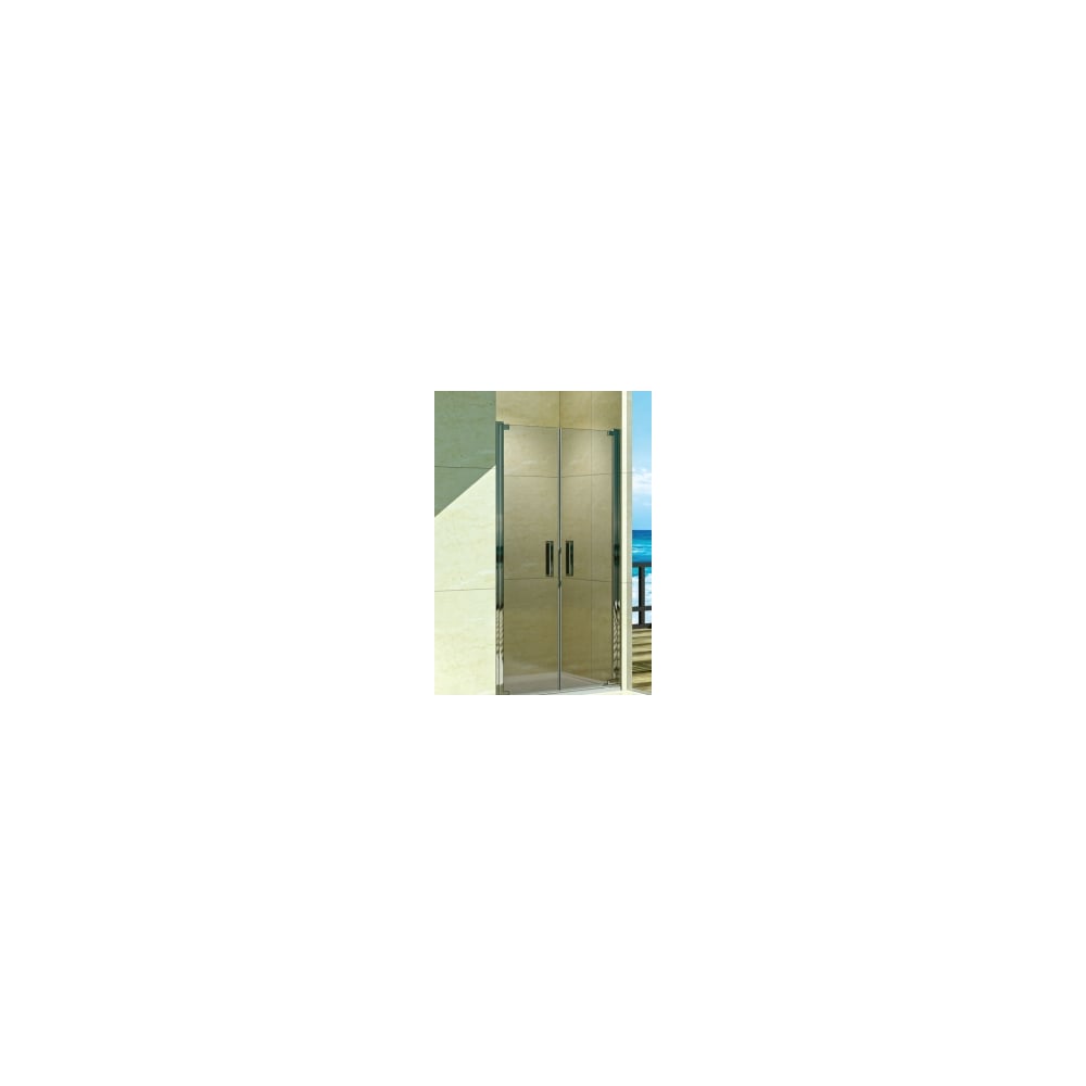 Душевая дверь WeltWasser WW600 1000х1850 мм 600K2-100 10000002735 ...