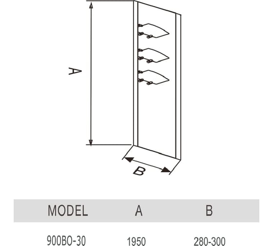 Душевое ограждение WeltWasser WW900 300х1950 мм 900B-30 10000002929
