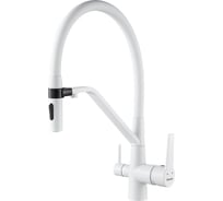 Смеситель для кухни с гибким изливом и подключением фильтра Shevanik S278C