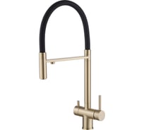 Смеситель для кухни ABBER Wasser Kreis с подключением фильтра и выдвижной лейкой, золото матовое AF81141G