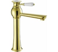 Смеситель для раковины OUTE T9011-1G