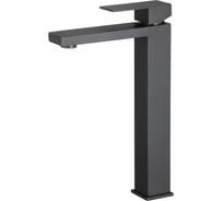 Смеситель для умывальника D-Lin из нержавеющей стали, высокий, черный H111324-A