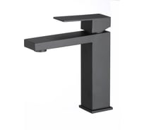 Смеситель для умывальника D-Lin из нержавеющей стали, черный H110324-A