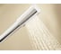 Ручной душ GROHE Sena 28034000 9