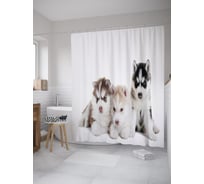 Штора (занавеска) для ванной JoyArty "Щенки сибирского хаски" из сатена, 180х200 см с крючками, sc_39424