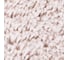 Коврик для ванной WasserKraft Диль (Dill) Pastel Parchment BM-3950 4