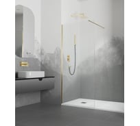 Душевая перегородка RGW 100*195 WA-10-G Золото/Прозрачное/8 мм (Easy) 02101010-16
