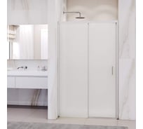 Душевая дверь RGW 120*195 PA-017 Хром/Матовое/6 мм (Easy) 350801712-21