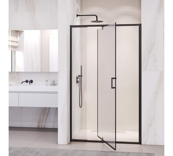 Душевая дверь RGW 100-110*195 PA-008-B Чёрный/Прозрачное/6 мм (Easy) 350800801-14