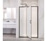 Душевая дверь RGW 100-110*195 PA-008-B Чёрный/Матовое/6 мм (Easy) 350800801-24 2