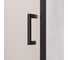 Душевая дверь RGW 100-110*195 PA-008-B Чёрный/Матовое/6 мм (Easy) 350800801-24 4