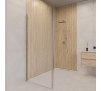 Боковая панель RGW 70*190 Z-050-5 Хром/Прозрачное/6 мм 352205507-11