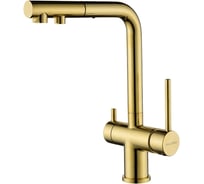 Смеситель для кухни Paulmark SERPENTINE, золото Se213222-G