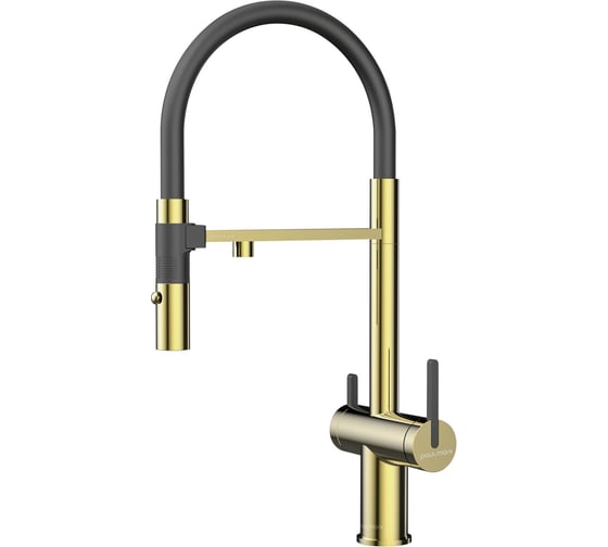 Смеситель для кухни Paulmark Gravity, золото, Starke- Gr213888-G