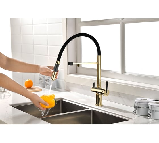 Смеситель для кухни Paulmark Gravity, золото, Starke- Gr213888-G