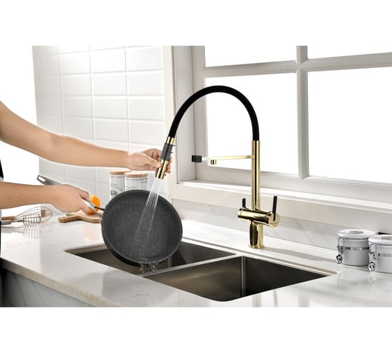 Смеситель для кухни Paulmark Gravity, золото, Starke- Gr213888-G