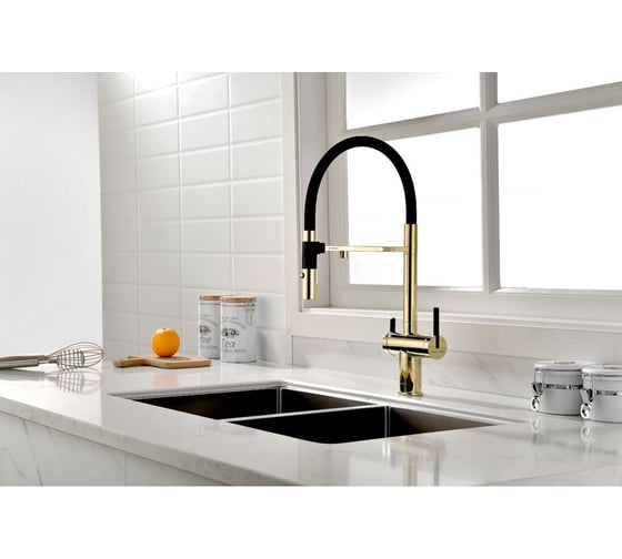 Смеситель для кухни Paulmark Gravity, золото, Starke- Gr213888-G