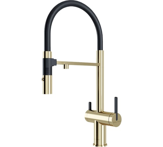 Смеситель для кухни Paulmark Gravity, светлое золото, Starke- Gr213888-LG
