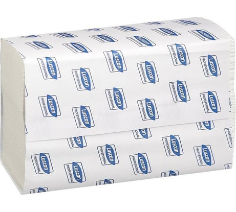 Бумажные полотенца Luscan Z-сложения, 2-слойные, 20 пачек 607965