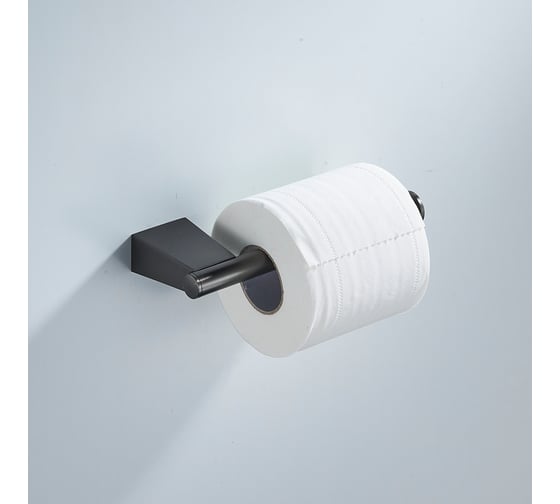 Держатель для туалетной бумаги SHEVANIK SG5715T