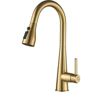 Смеситель для кухни с выдвижным изливом Shevanik S363G