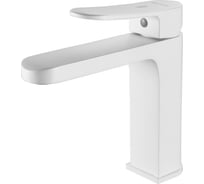 Смеситель для раковины Shevanik S4501C