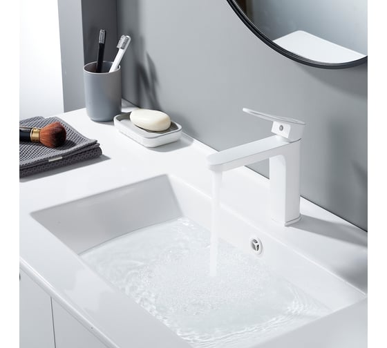 Смеситель для раковины Shevanik S4501C