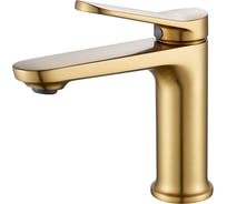 Смеситель для раковины Shevanik S4301G