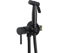 Смеситель для биде одноручковый AQUEDUC 345733 нержав. сталь черный /10 ЭК000145733