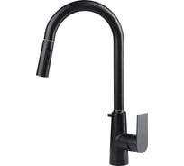 Смеситель для кухни одноручковый AQUEDUC 345719 с выдвижной лейкой и мыльницей, нержав. сталь, черный /10 ЭК000145719