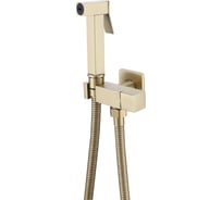 Смеситель для гигиенического душа Savol S-FXQ009C-1