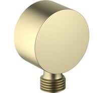 Шланговое подсоединение Aquatek AQ2457BG шлиф. золото 00000139841