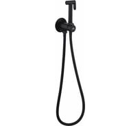 Смеситель встраиваемый с гигиенической лейкой FASHUN A57803-7 черный, SUS304, картридж D=25 УТ-00003134