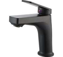 Смеситель для умывальника из высокопрочного пластика РМС черный PL7BL-001F