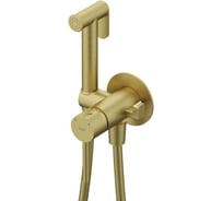 Встраиваемый смеситель с гигиеническим душем IDDIS матовое золото 005MGR0i08