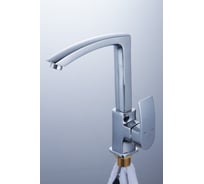 Смеситель для кухни Diadonna с высоким изливом D80-443103